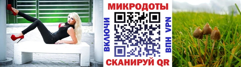 Псилоцибиновые грибы Cubensis  купить   Александровск 